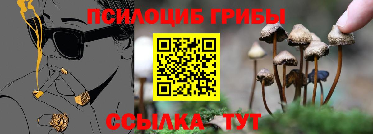 Псилоцибиновые грибы мицелий  Вход с VPN  Троицк 